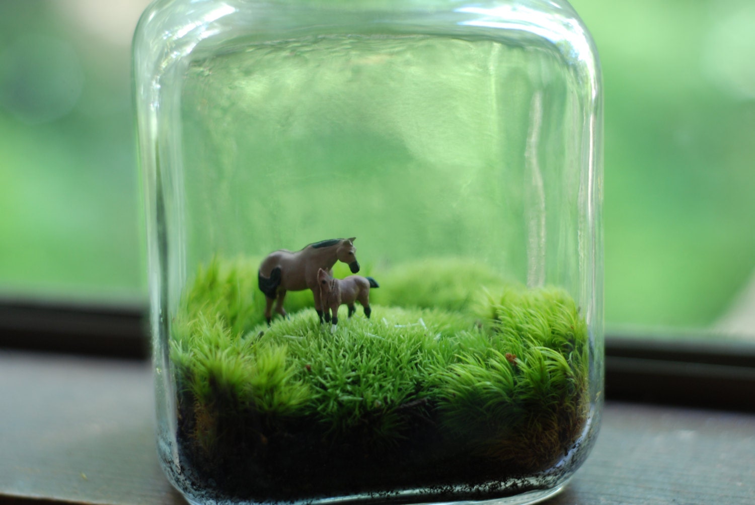 moss terrarium mother and child