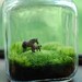 moss terrarium mother and child
