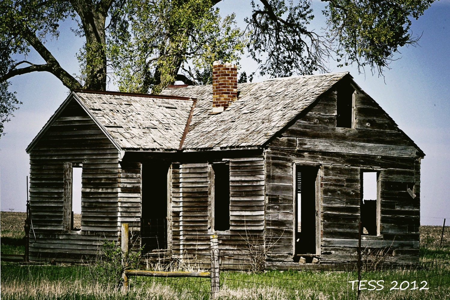This Old House Photo -  Abandoned Farmhouse - 8  x 12 Photography -  Black and White or Color