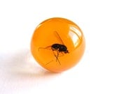 Swedish Mosquito - Resin ring - Size L