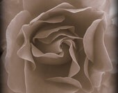 Sonsuz Ask - Fine Art Photography Print 5x5 by timA