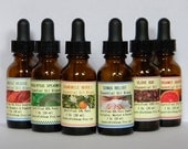 Essential Oil Blends - 1 Oz (30ml) - Bergamot Grapefruit, Chamomile Neroli, Clove, Muscle & Sinus  - Therapy Oils