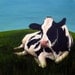Cow Painting - Henrietta  - Print of an Original Acrylic Painting - 8x8