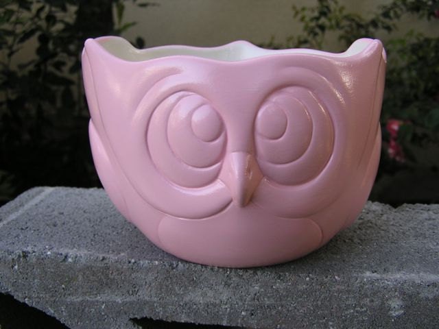 Simply Cool Owl Party Dish