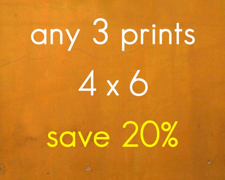 DISCOUNTED SET - Any three 4x6" prints