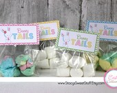 Easter Bag Topper, DIY, Printable, INSTANT DOWNLOAD Il_170x135