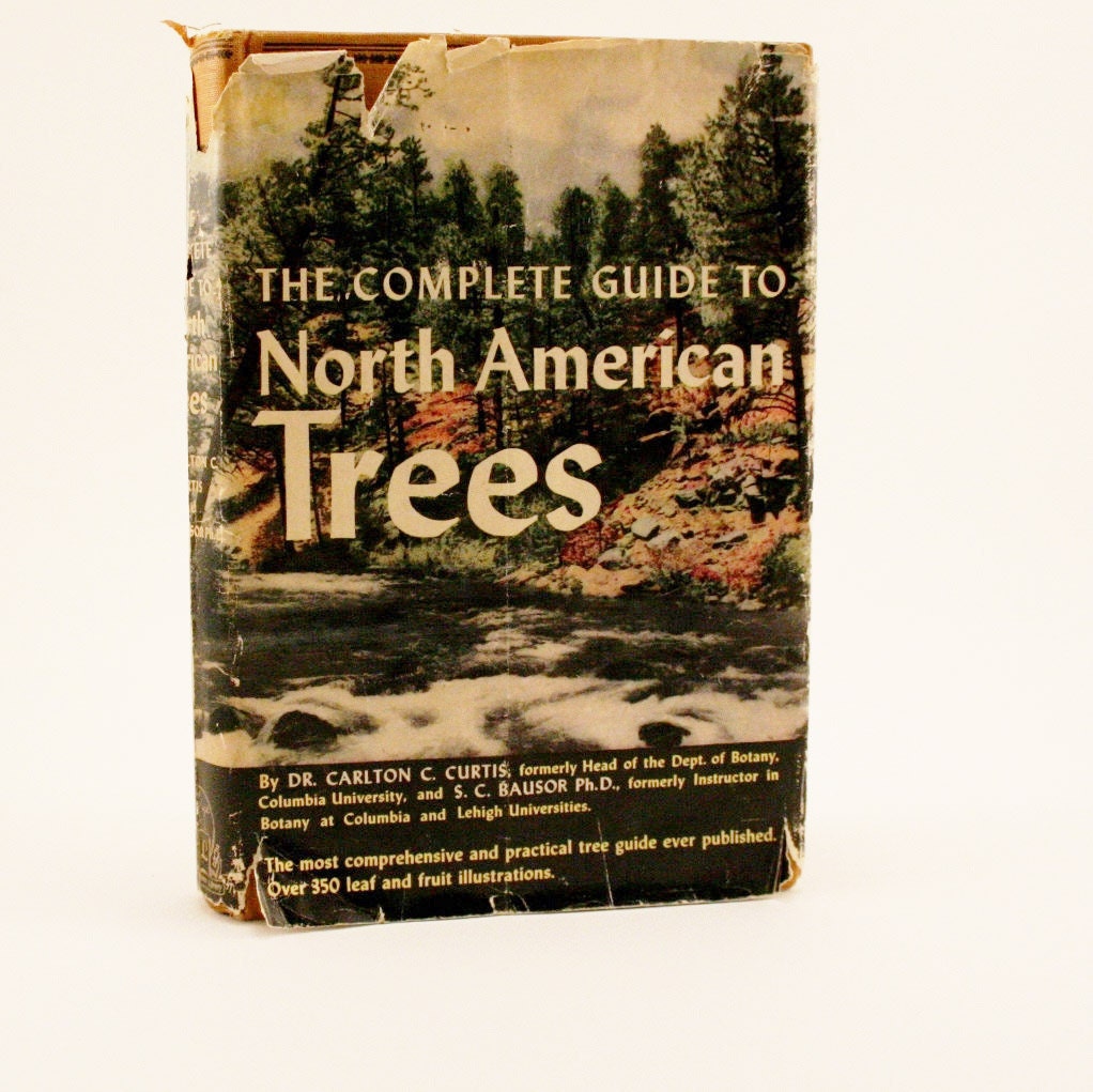 complete guide to North American Trees 1943 hardcover book vintage