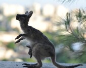 Needle Felted artist Mother Kangaroo OOAK Collectible artist  animals. Needle felted soft sculpture/ Needle felt by Daria Lvovsky