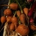 Organic Parisian Carrot Seeds - Round Orange Heirloom Carrots