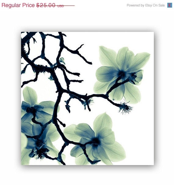 ON SALE Minimalist Magnolia Photograph Home Decor, Fine Art Flower Photograph - Translucence (8x8)