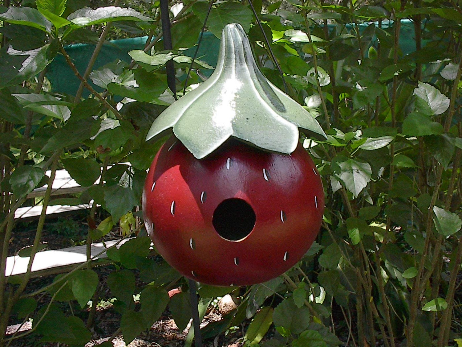 Gourd Birdhouse Strawberries Garden Decor