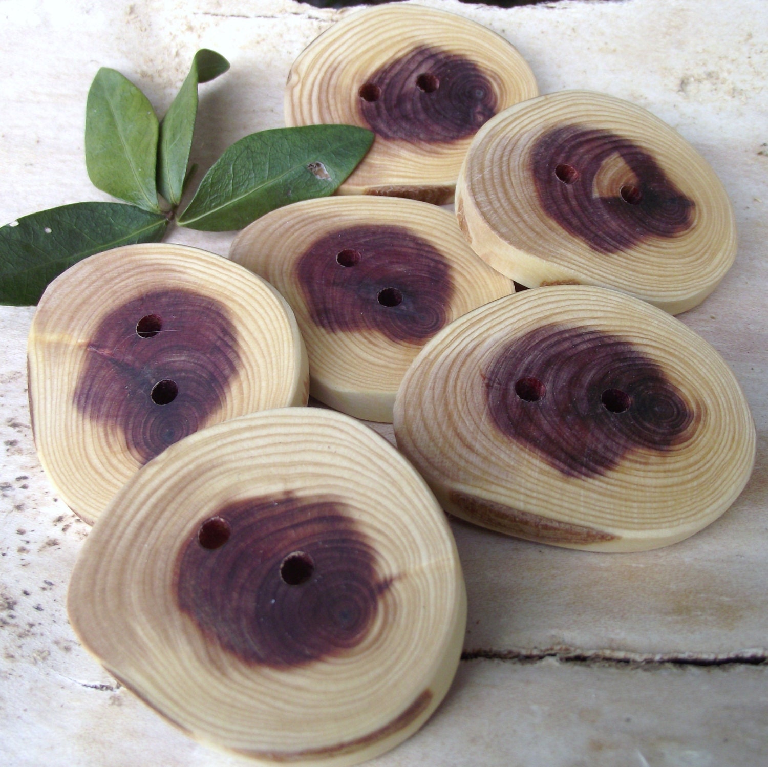 Wood Buttons - 6 Cedar Wooden Tree Branch Buttons - 1 3/4 x 1 1/2 inches, 2 Holes, For Knitting, Journals, Pillows, Purses