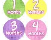 Girl Monthly Photo Stickers - Girl Monthly Onesie Stickers - Pink, Green, Yellow & Purple - Baby Shower Gift - Photo Prop - Bunny Il_170x135