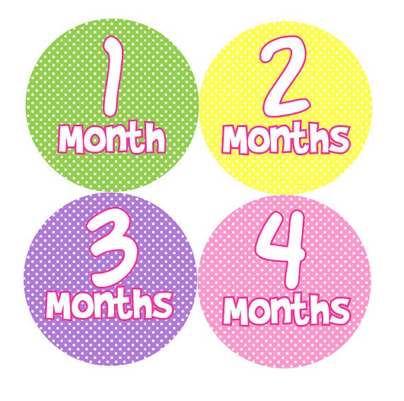 Girl Monthly Photo Stickers - Girl Monthly Onesie Stickers - Pink, Green, Yellow & Purple - Baby Shower Gift - Photo Prop - Bunny Il_570xn