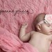 Pink Faux Fur Fabric Nest Long Pile Mongolian Blanket Basket Stuffer Newborns Baby Girl Photography Photo Prop - Ready to Ship