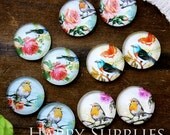 10pcs 12mm (MGC99) Handmade Photo Glass Cabochon