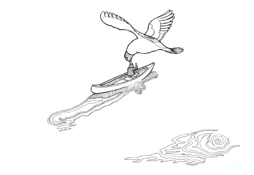 seabird and rowing boat man