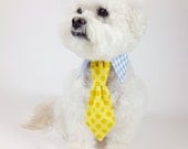 dog tie- shirt and tie collar- bright polka dot tie- faux knot- cat tie- pet tie green turquoise yellow- wedding tie for dogs