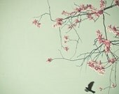 Free as a Bird - Flower photograph, spring decor, cherry blossom, bird photography, nature art, pastel colors, whimsical 8x8 print