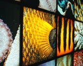 Baltimore Aquarium 2