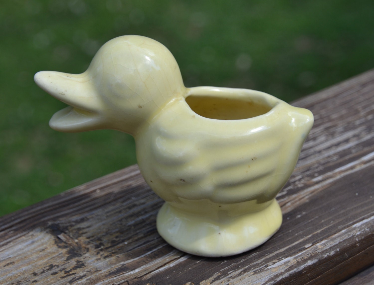 mccoy duck planter