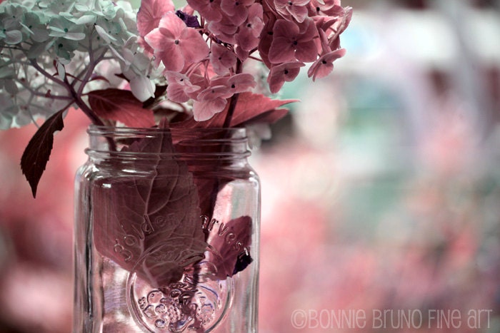 Nature Photography 11x14 Pink Hydrangeas floral print