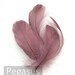Loose Lavender Purple Nagorie goose feathers (12 PIECES) popularly used for wedding flowers, fascinators, derby hats and flapper headdress