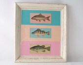 fish picture framed vintage paper ephemera wall hanging pastel colorful decorative home decor blue pink melon
