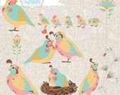 Button Quail: Digital Clipart Set