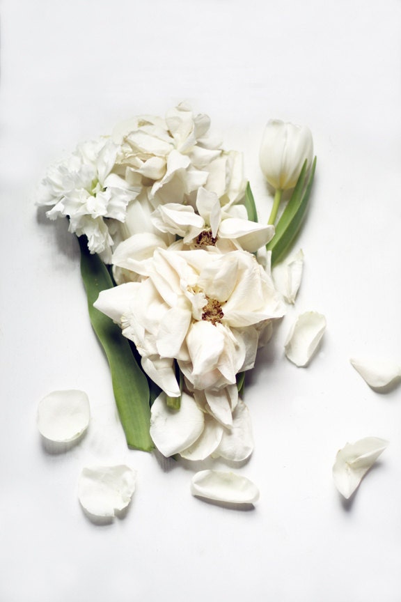 Flower Photography Modern Still Life of White Flowers Spring Still Life No. Two