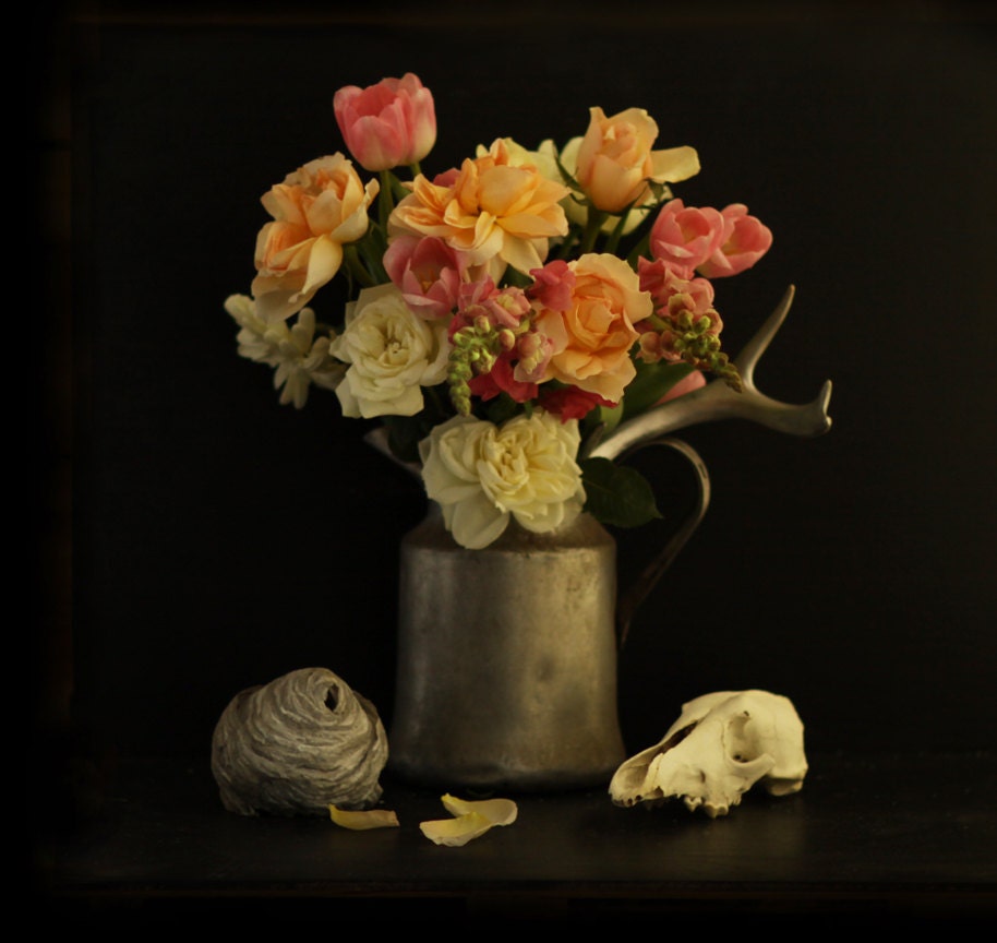 Still Life of Flowers and Skull and Wasp Nest 10x10 - lucysnowephotography