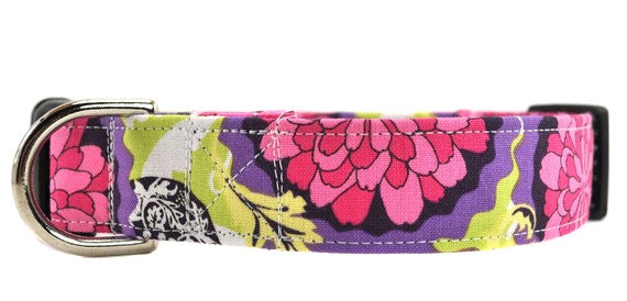 Floral Dog Collar - Purple Zinnia