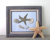 Vintage Starfish Needlepoint Picture Framed with Glass
