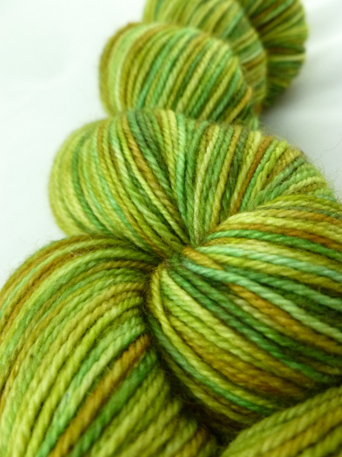Misc Series: "Gecko" Superwash BFL/Nylon Fingering Sumba