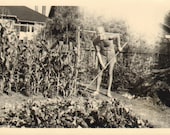 Vintage Photo of a Man Working in His Garden