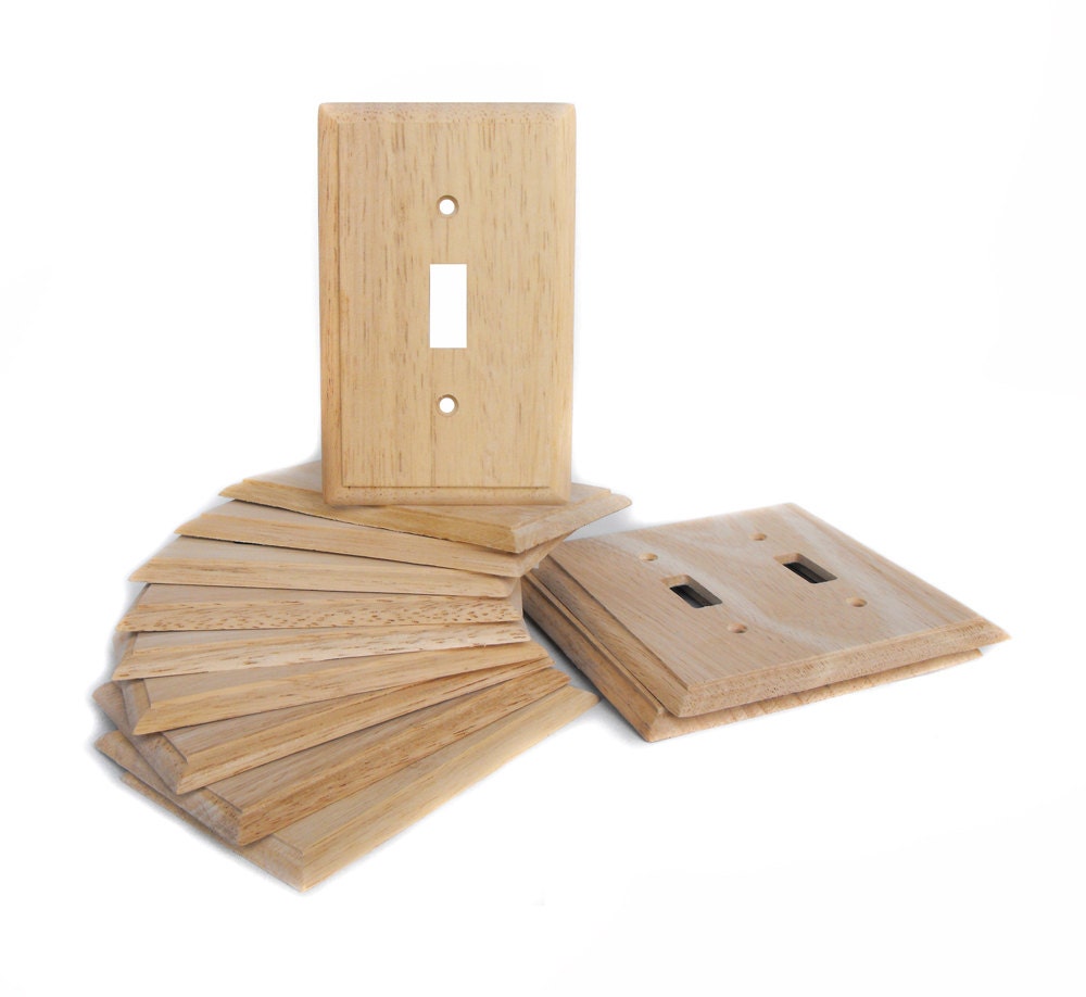 Custom Hand Painted Light Switch Plate Electrical by Coolisart