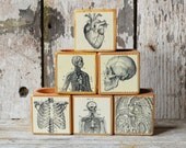1 Reclaimed Wood Cobblestone Candle Block with Medical Decoupage No. 1