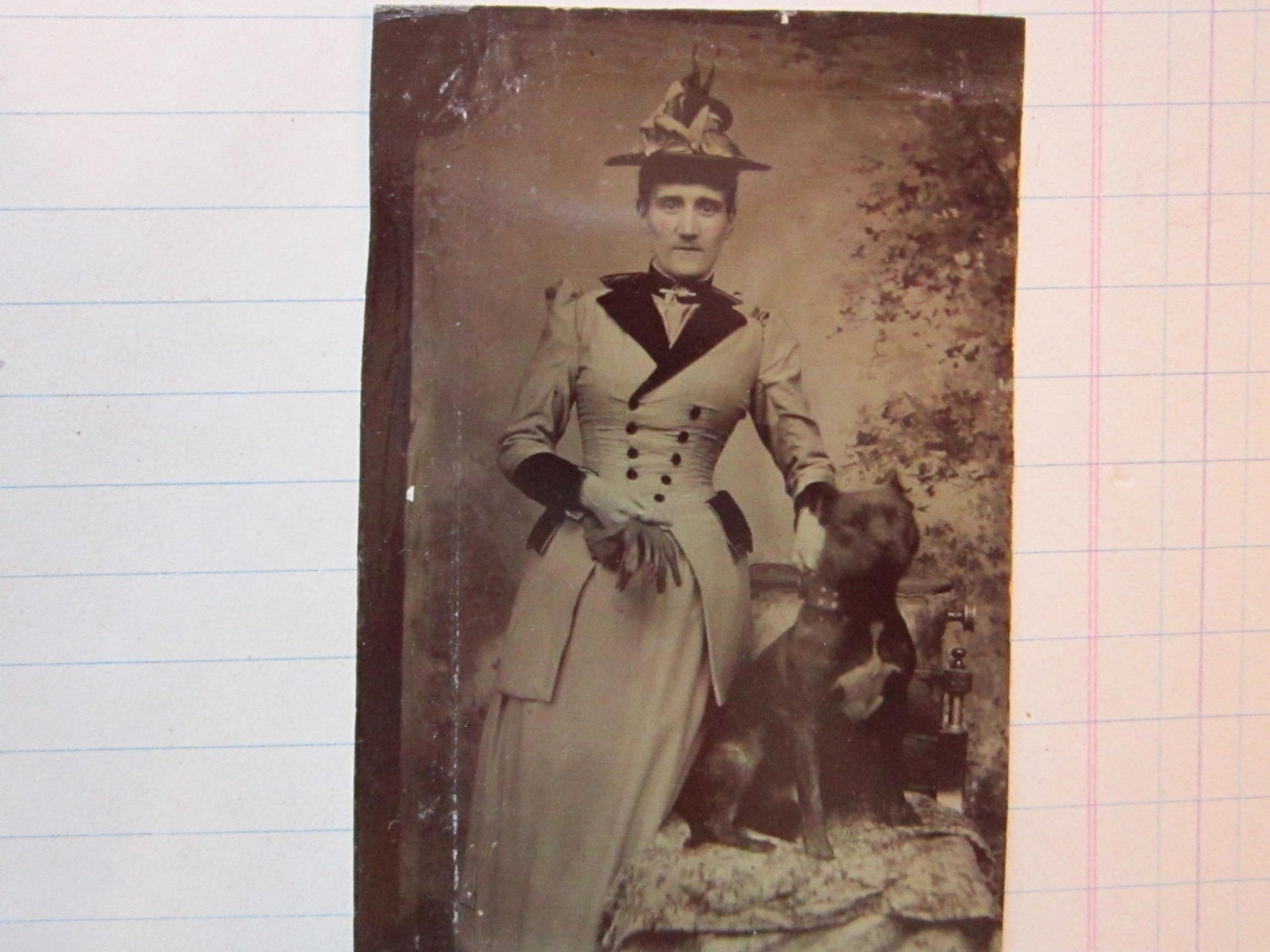 antique tintype - DOG - woman with large dog - rare pet portrait - late 1800s