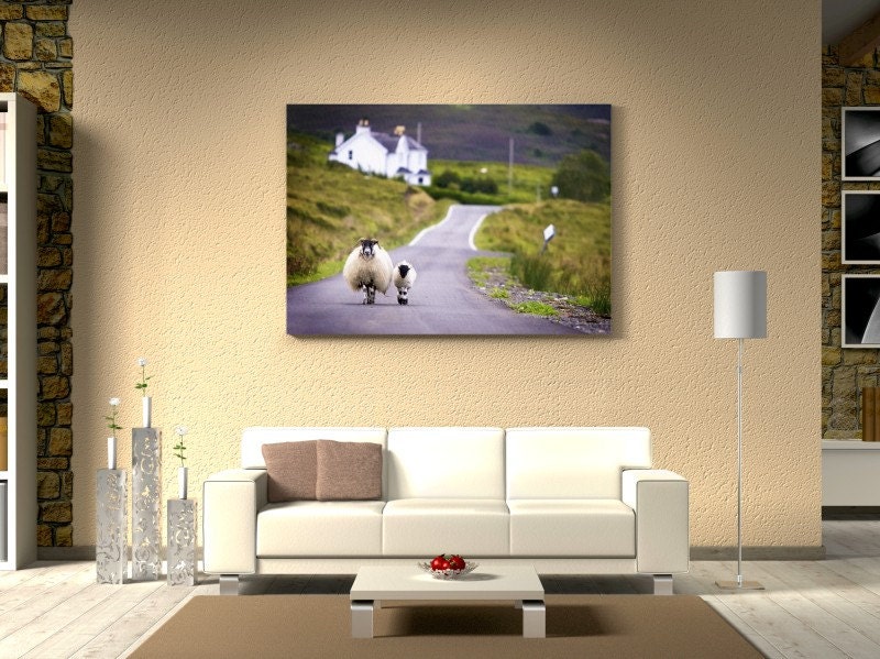 LARGE 24 x 33 CANVAS ART - Sheep Walking in the Highlands, Scotland