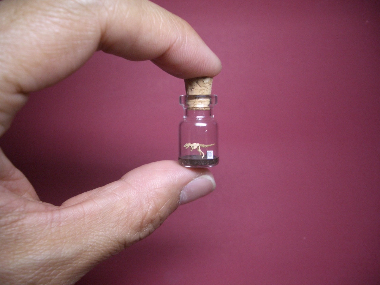 Tyrannosaurus / T-Rex in a tiny bottle