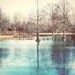landscape wall print nature photography turquoise blue pond winter trees blue water 8x10 tree print