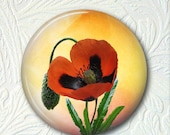 Pocket Mirror Floral Poppies Buy 3 get 1 Free 390