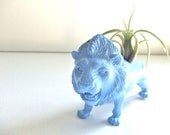 Airplant Planter- Blue Lion