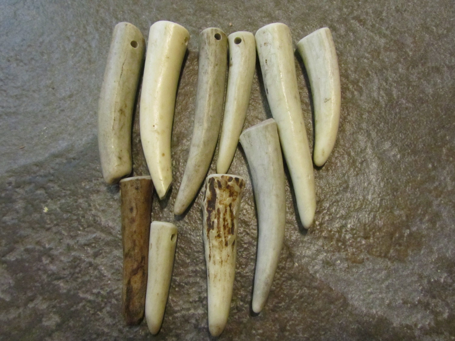 10 Deer Antler Tips For Jewelry Making.