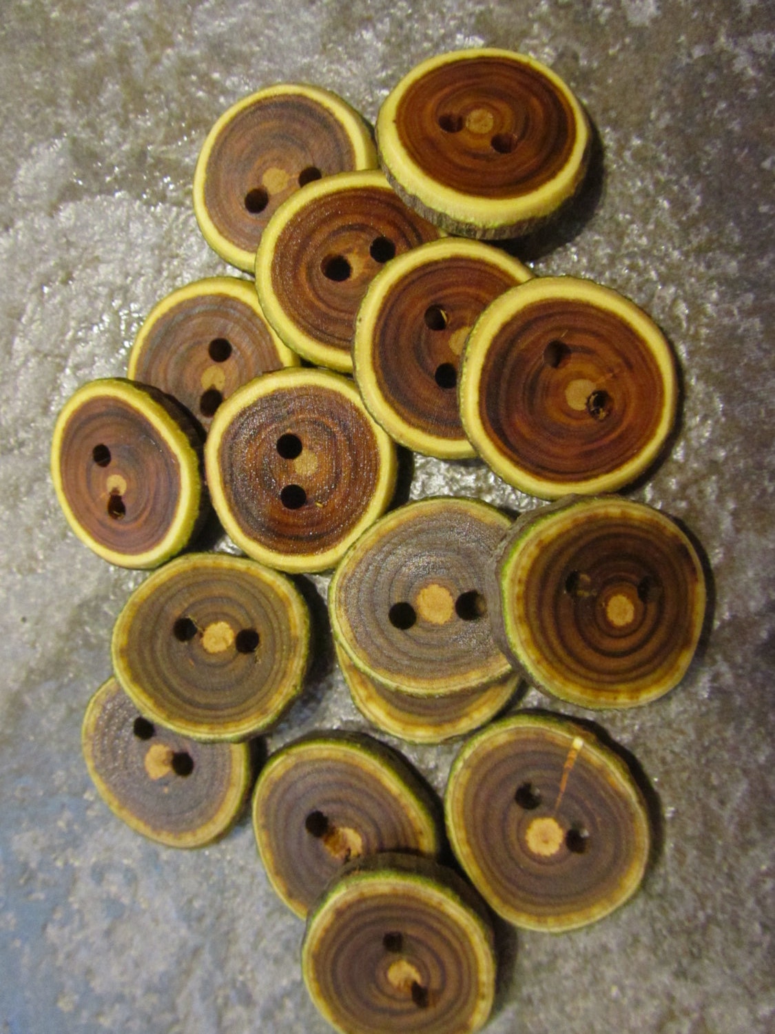 16 American Smokebush And Sumac Buttons. 1 Inch Wide.