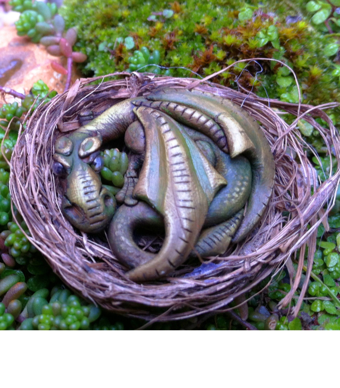 Newborn dragon (RESERVED)
