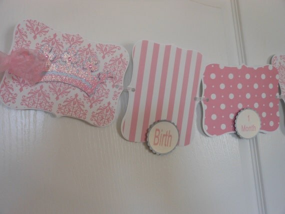 1st Birthday Petite Princess Pink Party Package Il_570xn