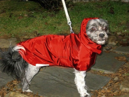Tootlewear's All Breed Dog Raincoat XSmall to LARGE sizes