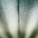 Corrugated Metal 12x18 : industrial photo steel wave abstract lines photography macro blue green aqua gray home decor