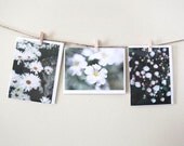White Flowers - Set of 3 Note Cards - Garden Macro Photo - Blank - Cheerful - Thank You - For Her - White and Light - Green - Easter Cards